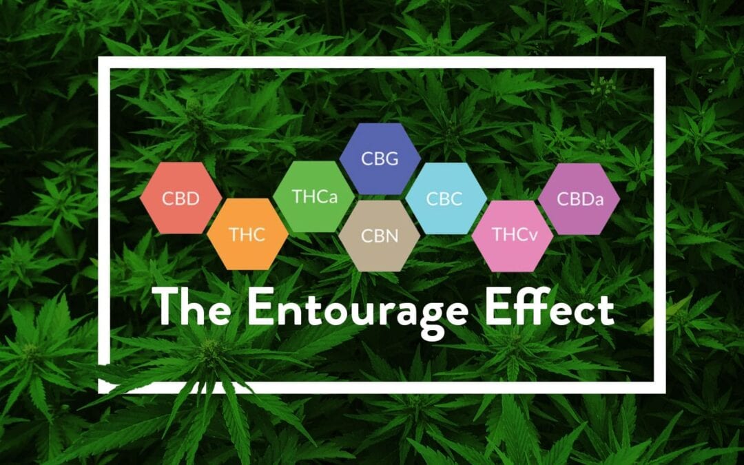 The Entourage Effect